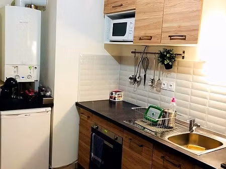 appartement t3 roques (31)