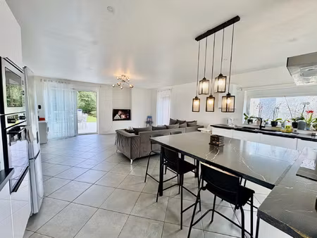 superbe maison t9 déjà rénové au calme dans un cadre verdoya