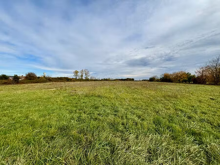 vente terrain  3000.00m²  soings