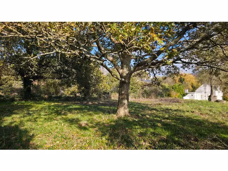 terrain à batir libre de constructeur d'environ 1673 m2 à saint joachim