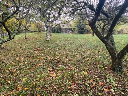 belle parcelle constructible