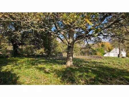 vente terrain à saint-joachim (44720) : à vendre / 1673m² saint-joachim