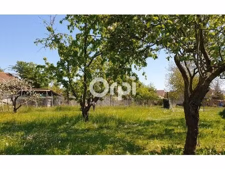 terrain urschenheim m² t- à vendre  75 000 €