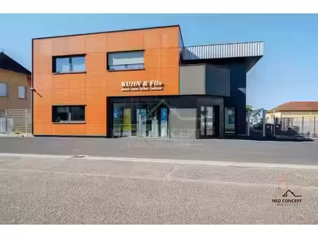 vente locaux professionnels 5 pièces 224 m² à roppenheim (67480)  997 500 €