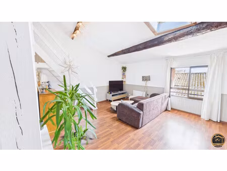 appartement en duplex - la palme