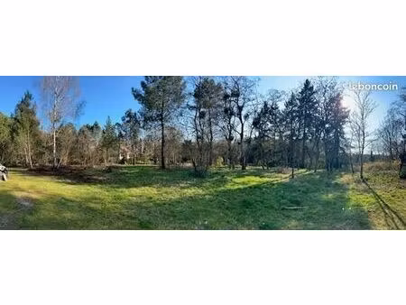 terrain 493 m² ruaudin