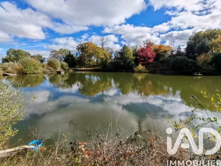 vente terrain loisirs 113 246 m²