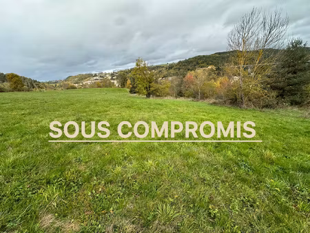 achat terrain 7 957m² pont salomon 43330