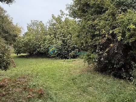 terrain 402 m² toulouse