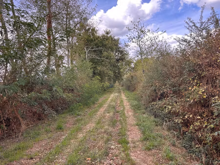 a vendre terrain de loisirs de 5 hectares à chitray avec éta