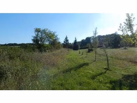 gramat - superbe terrain de plus de 3500 m² arboré avec vue