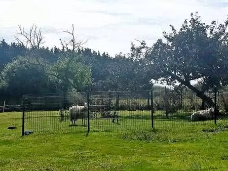 vente maison à lesconil (29740) : à vendre / 188m² lesconil