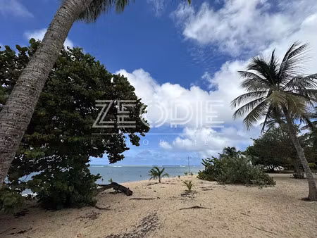 vente appartement 1 pièce 34 m² à le moule (97160)  119 000 €