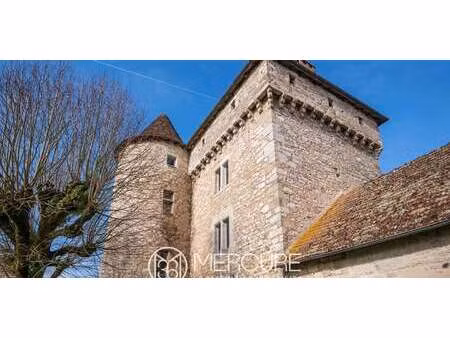 château ambeyrac (12)