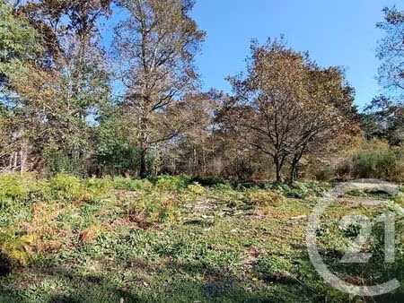 terrain à vendre - 1203 m2 - st geours de maremne - 40 - aquitaine