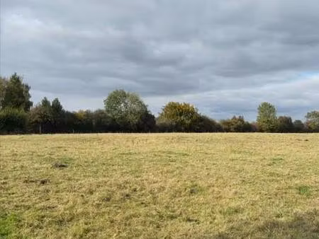 terrain constructible