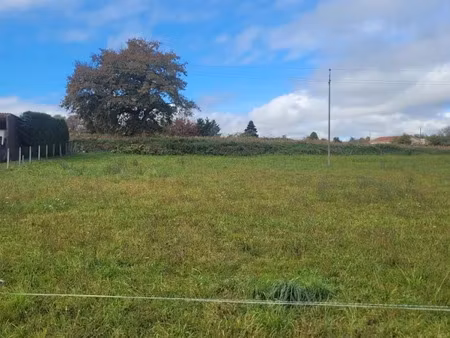 vente terrain 1800 m² à bordes-de-rivière (31210)  40 000 €