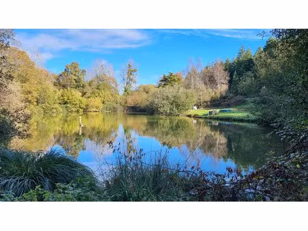 vente terrain à ménéac (56490)  40 000 €