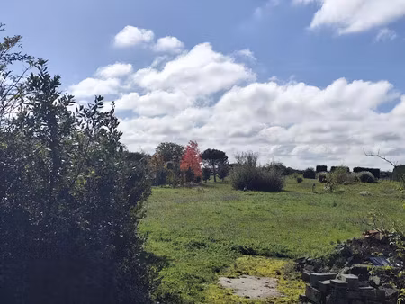 vente terrain 1065 m² à saint-seurin-de-cadourne (33180)  40 000 €