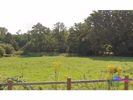 vente terrain 5343 m² à urciers (36160)  21 000 €