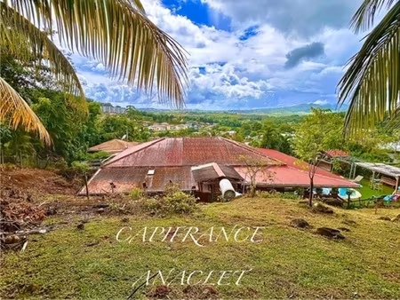 à vendre – charmante maison avec piscine et studio indépendant à ducos (97224)