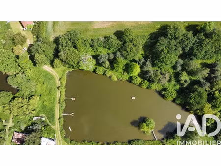 vente terrain 113246 m² à néris-les-bains (03310)  189 000 €