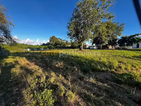 vente terrain 6389 m² à sainte anne (97180)  289 000 €