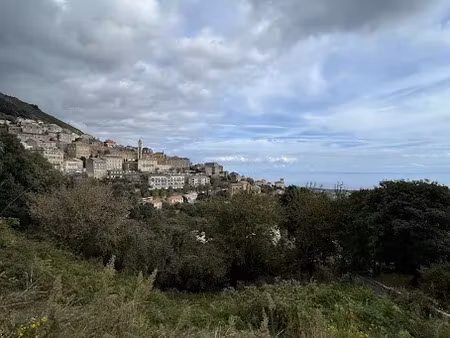 vente terrain 1638 m² à cervione (20221)  115 000 €