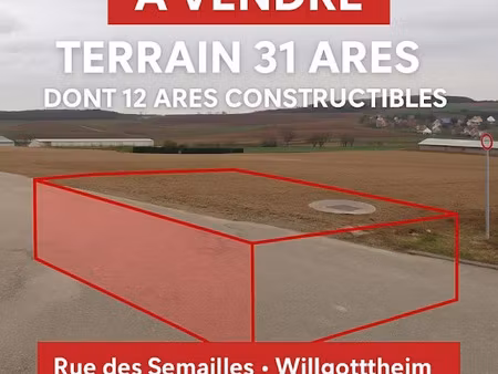 vente terrain à batir 3119 m² à willgottheim (67370)  270 000 €