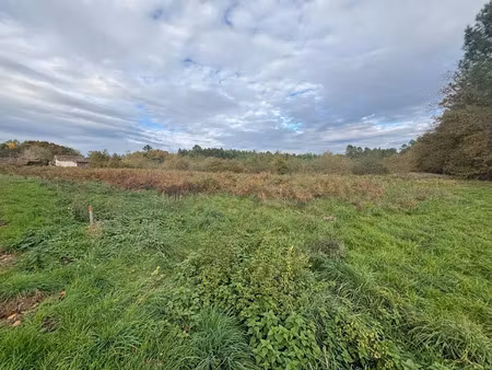 vente terrain 5799 m² à sore (40430)  87 000 €