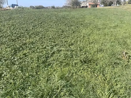 vente terrain 13500 m² à bellegarde (81430)  129 000 €