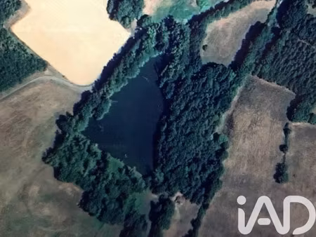 vente terrain 39730 m² à chaillac-sur-vienne (87200)  140 000 €