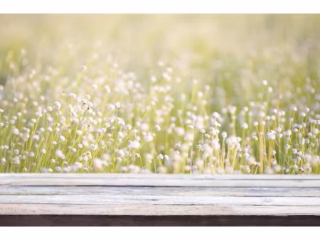 vente terrain 508 m² à sanguinet (40460)  169 000 €