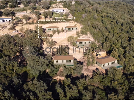 vente terrain 940 m² à tavaco (20167)  160 000 €