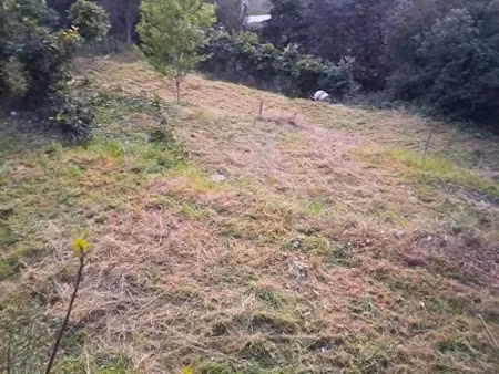 vente terrain à batir 1002 m² à nice (06000)  283 000 €