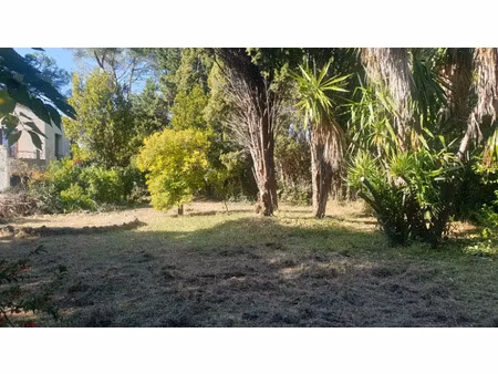 vente terrain 515 m² à villeneuve-loubet (06270)  290 000 €