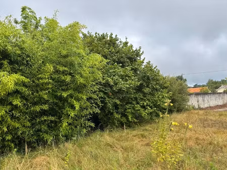 vente terrain 520 m² à andernos-les-bains (33510)  385 000 €