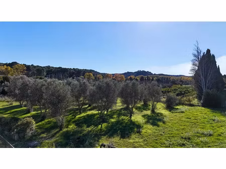 vente terrain 1500 m² à mas-blanc-des-alpilles (13103)  385 000 €