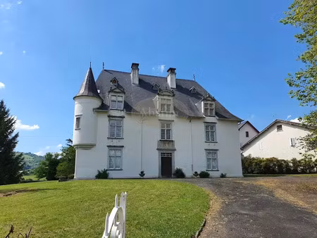 vente château 16 pièces 600 m² à mauléon-licharre (64130)  920 000 €