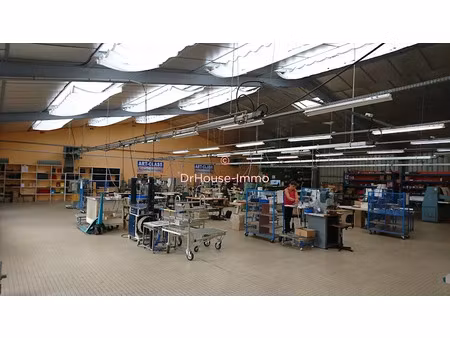 vente locaux professionnels 15 pièces 2225 m² à saint-florent-le-vieil (49410)  618 000 €