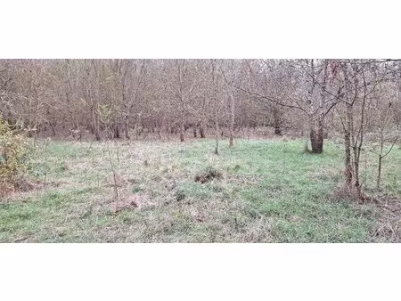 en vente terrain constructible 190 ares – 25 000 € |ancenis