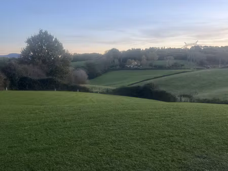 elégante maison à ossature bois avec vue dégagée