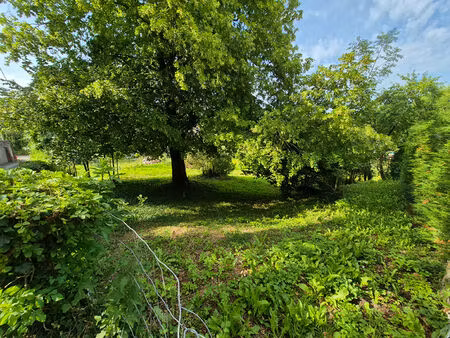 achat terrain 816m²