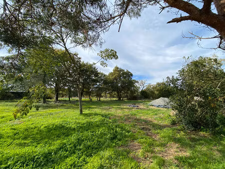 achat terrain 955m²