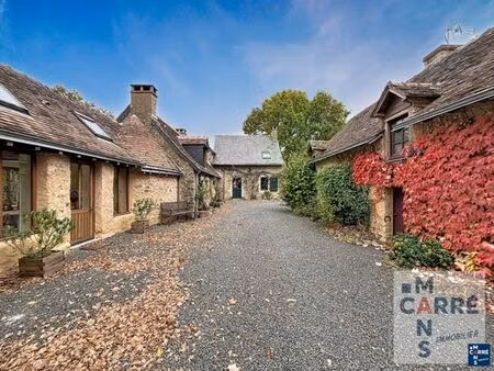 maison de luxe de 380 m2 en vente chevillé  pays de la loire