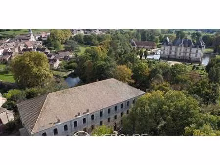 propriété avec jardin cormatin (71)