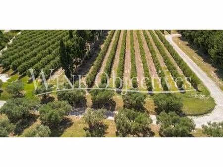 vignoble avec piscine et dépendances saint-rémy-de-provence (13)
