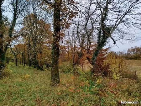 terrain agricole chevaux