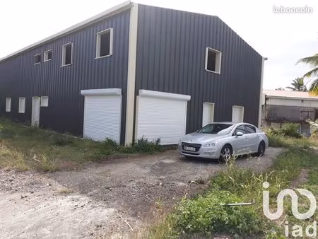 immeuble 279 m² anse-bertrand
