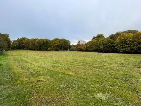 vente terrain 7530 m² à chaptelat (87270)  69 000 €